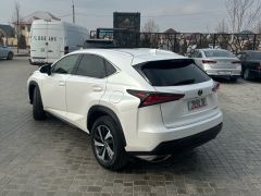 Фото авто Lexus NX