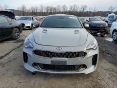 Фото авто Kia Stinger