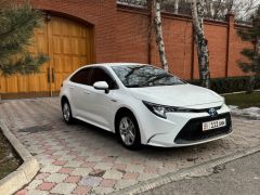 Фото авто Toyota Corolla