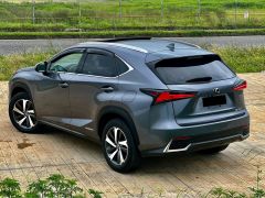 Сүрөт унаа Lexus NX