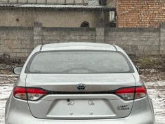 Фото авто Toyota Levin