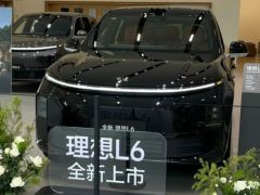 Photo of the vehicle LiXiang L6