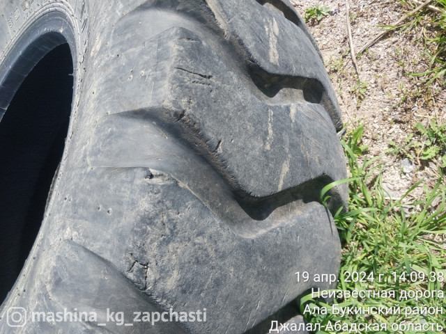 Tires - Грузовой шина