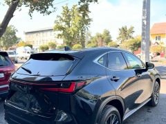 Сүрөт унаа Lexus NX