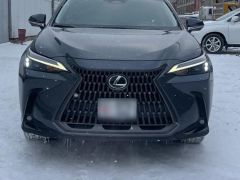 Сүрөт унаа Lexus NX