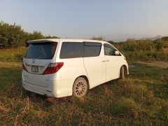 Photo of the vehicle Toyota Alphard