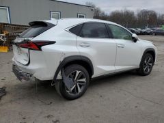 Сүрөт унаа Lexus NX