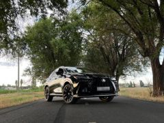 Сүрөт унаа Lexus NX