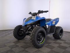 Фото авто CFMoto Cforce 110