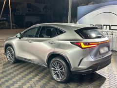 Сүрөт унаа Lexus NX