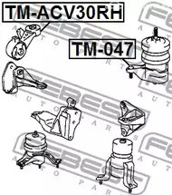 Spare Parts and Consumables - Подушка двигателя правая Toyota Camry, Lexus 330/ES300 01-06 FEBEST TMACV30