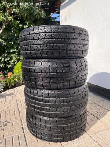 Tires - Резина 255.45.19