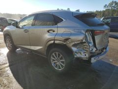 Фото авто Lexus NX