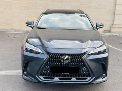 Сүрөт унаа Lexus NX