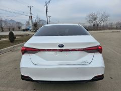 Фото авто Toyota Avalon