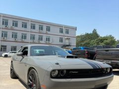 Сүрөт унаа Dodge Challenger