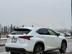 Сүрөт унаа Lexus NX