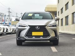 Сүрөт унаа Lexus NX