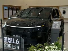 Photo of the vehicle LiXiang L6