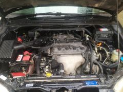 Сүрөт унаа Honda Odyssey