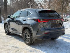 Фото авто Lexus NX