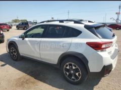 Фото авто Subaru Crosstrek