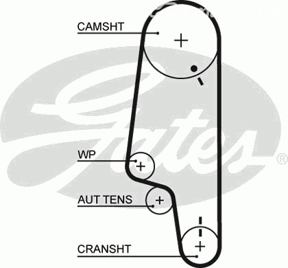 Запчасти и расходники - Ремень Gates 5428XS