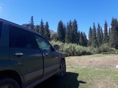 Сүрөт унаа Subaru Forester