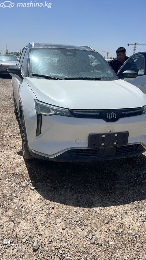 Weltmeister W6