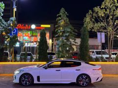 Фото авто Kia Stinger