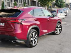 Сүрөт унаа Lexus NX