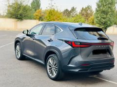 Сүрөт унаа Lexus NX