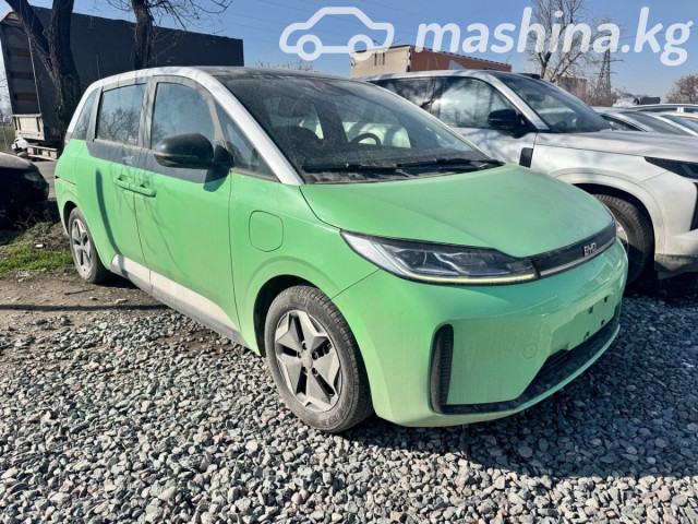 BYD D1