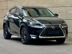 Сүрөт унаа Lexus NX