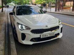 Сүрөт унаа Kia Stinger