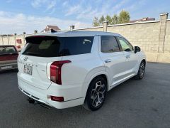 Сүрөт унаа Hyundai Palisade