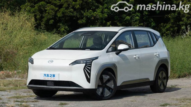 GAC Aion Y Plus