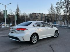 Фото авто Toyota Levin