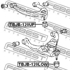 Spare Parts and Consumables - Пыльник опоры шаровой переднего верхнего рычага febest tbjb120up