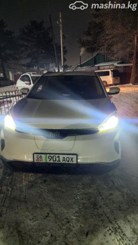 Weltmeister EX5