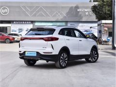 Фото авто Weltmeister EX5