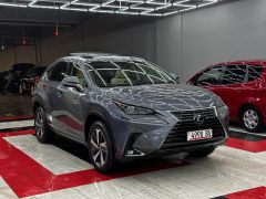 Фото авто Lexus NX