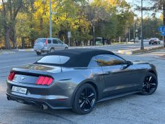 Фото авто Ford Mustang