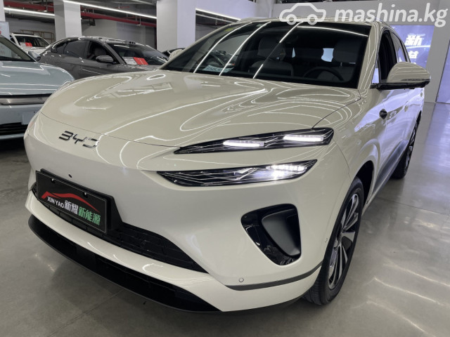 BYD Sea LIon 06