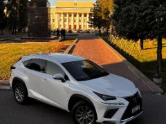 Фото авто Lexus NX