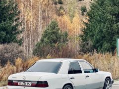 Сүрөт унаа Mercedes-Benz W124