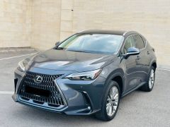 Сүрөт унаа Lexus NX