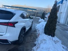 Фото авто Lexus NX