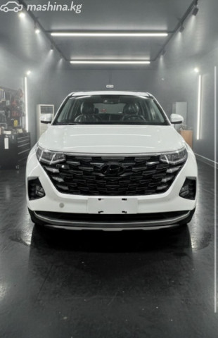 Hyundai Custo