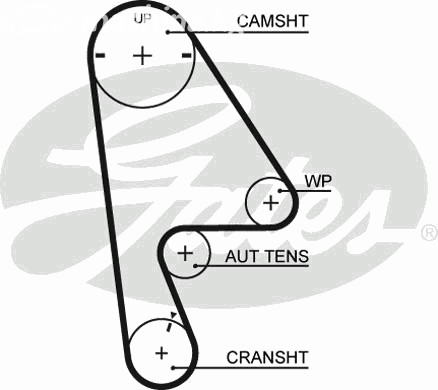 Запчасти и расходники - Ремень ГРМ Gates 5410XS